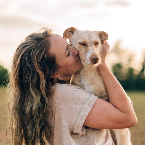 Vitalcoach für Hunde